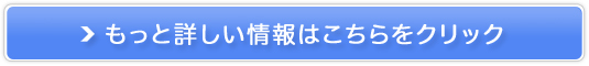 HzT[rXit@[XgXv[j̔TCg